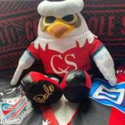 ヒメ日記 2025/05/25 09:42 投稿 西森かずは 札幌ソフィア