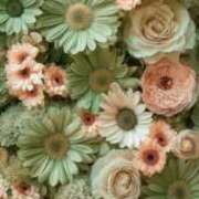 ヒメ日記 2025/11/19 18:04 投稿 西森かずは 札幌ソフィア