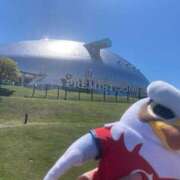 ヒメ日記 2025/11/28 01:48 投稿 西森かずは 札幌ソフィア