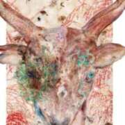 ヒメ日記 2025/01/26 01:50 投稿 ゆい [優良人妻店]セレブスタイル（山口～防府～萩）