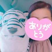 ヒメ日記 2025/02/09 01:20 投稿 ゆい [優良人妻店]セレブスタイル（山口～防府～萩）