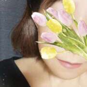 ヒメ日記 2025/03/04 03:10 投稿 ゆい [優良人妻店]セレブスタイル（山口～防府～萩）