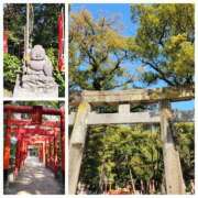 ヒメ日記 2025/03/12 03:00 投稿 ゆい [優良人妻店]セレブスタイル（山口～防府～萩）