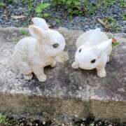 ヒメ日記 2025/08/01 01:00 投稿 ゆい [優良人妻店]セレブスタイル（山口～防府～萩）