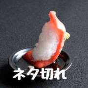 ヒメ日記 2025/08/14 01:06 投稿 ゆい [優良人妻店]セレブスタイル（山口～防府～萩）