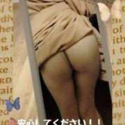 ヒメ日記 2025/08/22 07:00 投稿 ゆい [優良人妻店]セレブスタイル（山口～防府～萩）