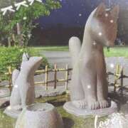 ヒメ日記 2025/09/04 01:00 投稿 ゆい [優良人妻店]セレブスタイル（山口～防府～萩）