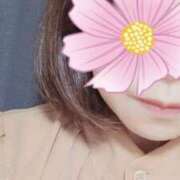 ヒメ日記 2025/09/10 01:00 投稿 ゆい [優良人妻店]セレブスタイル（山口～防府～萩）