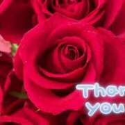 ヒメ日記 2025/01/05 03:55 投稿 ヒロミ 人妻生レンタル