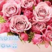 ヒメ日記 2025/01/17 02:35 投稿 ヒロミ 人妻生レンタル