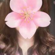 ヒメ日記 2025/04/07 18:00 投稿 ヒロミ 人妻生レンタル