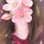 ヒメ日記 2025/04/12 18:01 投稿 ヒロミ 人妻生レンタル