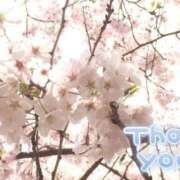 ヒメ日記 2025/04/15 14:30 投稿 ヒロミ 人妻生レンタル