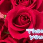 ヒメ日記 2025/11/30 03:40 投稿 ヒロミ 人妻生レンタル