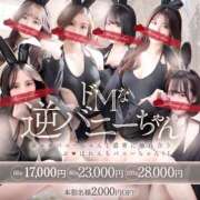 ヒメ日記 2026/05/12 13:01 投稿 ツユリ ドＭなバニーちゃん小倉店