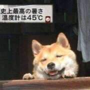 ヒメ日記 2026/08/20 12:05 投稿 椎名ひかる【NS対応！】 VANILLA　DX（バニラデラックス）