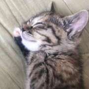 ヒメ日記 2025/06/16 20:19 投稿 まき 船橋桃色の妻たち