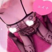 ヒメ日記 2025/05/31 16:00 投稿 ニイナ マリン宮殿水戸店