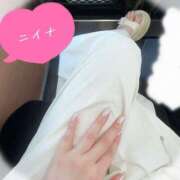 ヒメ日記 2025/07/29 19:25 投稿 ニイナ マリン宮殿水戸店