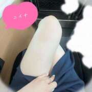 ヒメ日記 2025/09/04 21:14 投稿 ニイナ マリン宮殿水戸店