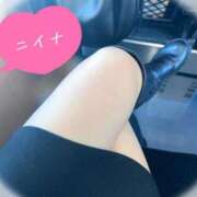 ヒメ日記 2025/11/07 19:45 投稿 ニイナ マリン宮殿水戸店