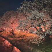 ヒメ日記 2025/04/23 22:26 投稿 千葉美弥子(ちばみやこ) 五十路マダムエクスプレス厚木店(カサブランカグループ)