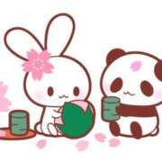 ヒメ日記 2025/03/26 09:43 投稿 このは PLEASURE