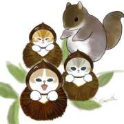 ヒメ日記 2025/09/19 09:48 投稿 このは PLEASURE