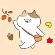 ヒメ日記 2025/11/06 16:23 投稿 このは PLEASURE