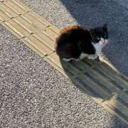 ヒメ日記 2026/01/26 20:58 投稿 このは PLEASURE