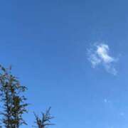 ヒメ日記 2026/01/31 08:14 投稿 このは PLEASURE