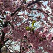 ヒメ日記 2026/03/01 21:10 投稿 このは PLEASURE