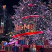 ヒメ日記 2025/03/17 23:27 投稿 桃叶　櫻 雫(しずく)