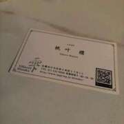 ヒメ日記 2025/12/13 11:49 投稿 桃叶　櫻 雫(しずく)