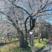 ヒメ日記 2025/04/04 11:46 投稿 みづき シャブール