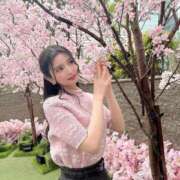 ヒメ日記 2025/04/13 05:43 投稿 みづき シャブール