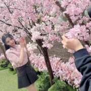 ヒメ日記 2025/04/22 10:30 投稿 みづき シャブール