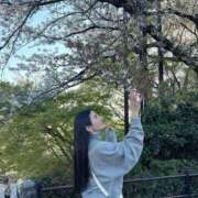 ヒメ日記 2026/04/10 00:11 投稿 みづき シャブール