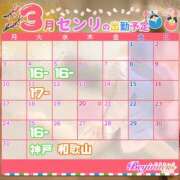 ヒメ日記 2025/02/26 17:50 投稿 センリ ビギナーズ神戸