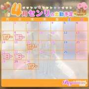 ヒメ日記 2025/04/01 07:09 投稿 センリ ビギナーズ神戸