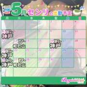 ヒメ日記 2025/04/30 16:49 投稿 センリ ビギナーズ神戸