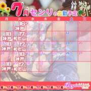 ヒメ日記 2025/06/17 09:19 投稿 センリ ビギナーズ神戸