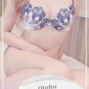 ヒメ日記 2024/12/27 12:32 投稿 おとは SUZUME