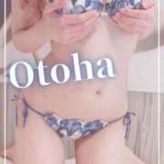 ヒメ日記 2025/01/05 20:20 投稿 おとは SUZUME