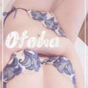 ヒメ日記 2025/01/18 12:51 投稿 おとは SUZUME