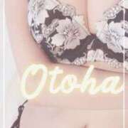 ヒメ日記 2025/02/08 13:20 投稿 おとは SUZUME