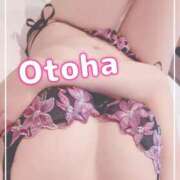 ヒメ日記 2025/02/18 15:02 投稿 おとは SUZUME