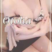 ヒメ日記 2025/03/18 13:15 投稿 おとは SUZUME