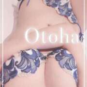 ヒメ日記 2025/04/06 12:53 投稿 おとは SUZUME