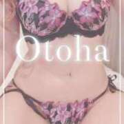 ヒメ日記 2025/04/09 13:12 投稿 おとは SUZUME